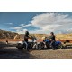 INDIAN CHIEF DARK HORSE 2024