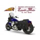 INDIAN CHIEF DARK HORSE 2021 - 2022