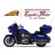 INDIAN PURSUIT LIMITED 2024