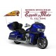 INDIAN PURSUIT LIMITED 2024