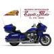 INDIAN PURSUIT LIMITED 2024