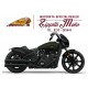 INDIAN SCOUT ROGUE 2024 