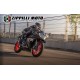 CF MOTO 450SR S