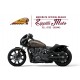 INDIAN SPORT SCOUT 1250 LTD TECH