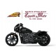 INDIAN SPORT SCOUT 1250 LTD TECH