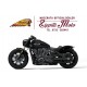 SCOUT BOBBER 1250 - 2025
