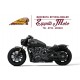 SCOUT BOBBER 1250 - 2025