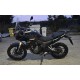 MORBIDELLI
