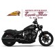 INDIAN CHIEF DARK HORSE 2021 - 2022