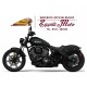 INDIAN CHIEF DARK HORSE 2024
