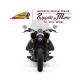 INDIAN CHIEF DARK HORSE 2021 - 2022