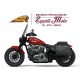 INDIAN CHIEF DARK HORSE 2021 - 2022