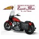 INDIAN CHIEF DARK HORSE 2021 - 2022