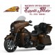 INDIAN ROADMASTER DARK HORSE BRONZE PEARL 